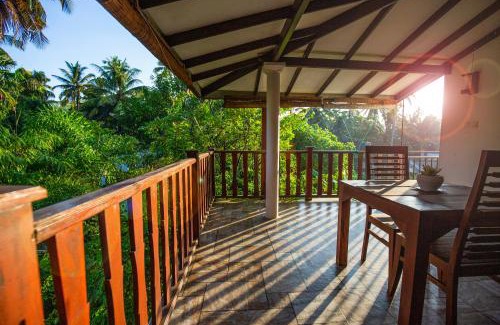 Rumassala House | Turtle Lamp