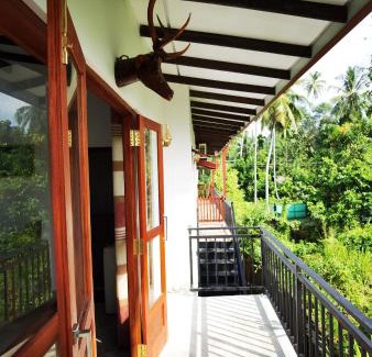 Rumassala House | Turtle Lamp