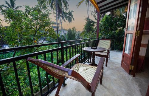 Rumassala House | Turtle Lamp