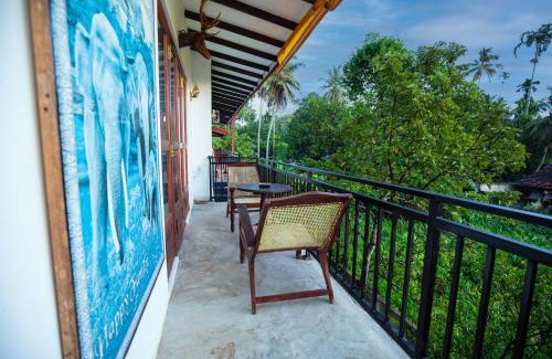 Rumassala House | Turtle Lamp