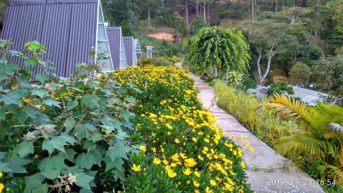 Da Lat Ski Chalet | Tuyết Hoa Hòn Bồ Homestay