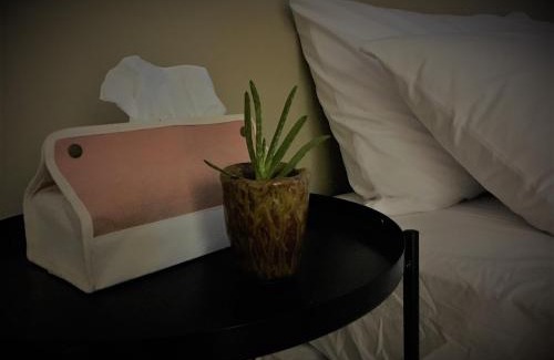 West Central District House | Twilight Art Villa