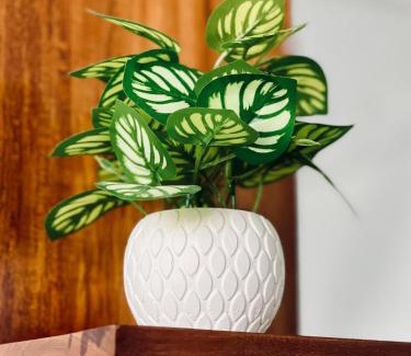 Ambagollapathana Hotel | Two Rock Vista