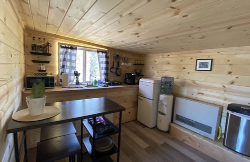 Cantwell Cabin | Two Story Eco Cabin on Private Lake near Denali National Park Sleeps 6