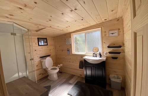 Cantwell Cabin | Two Story Eco Cabin on Private Lake near Denali National Park Sleeps 6