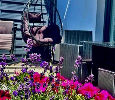 Czarna Gora Ski Chalet | Twoje Miejsce