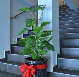 Mentakab Hotel | U Design Hotel Mentakab