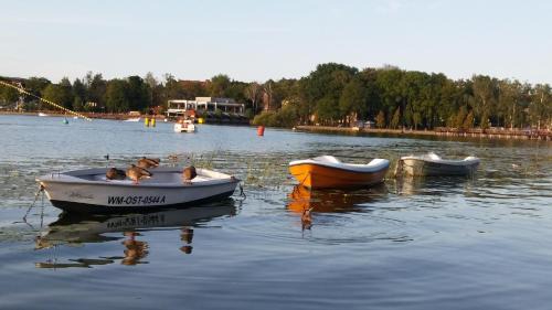 Ostroda Apartment | U Hanusi