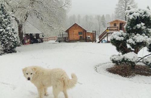 Ustrzyki Dolne Cabin | U Małgorzaty