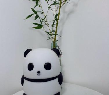 Muro Bed & Breakfast | U Sognu