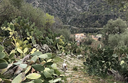 Muro House | U Stradunellu