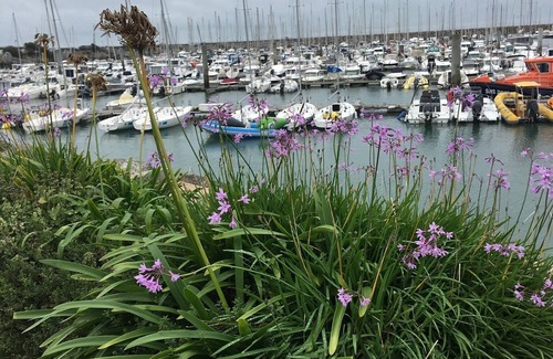 Muro House | U Stradunellu