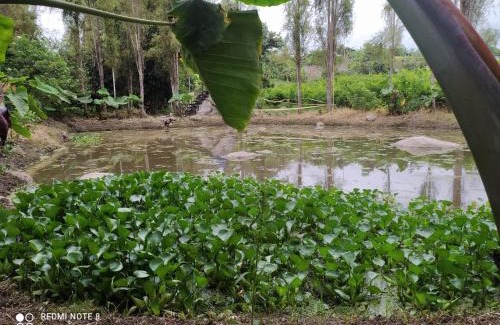 Anolaima House | Ubazhue Hospedaje Campestre