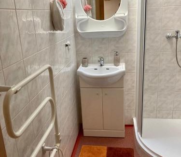 Roztoky u Jilemnice Apartment | Ubytování v podkroví