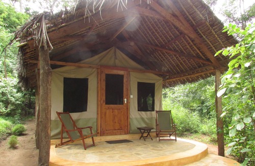Kiberege Other | Udzungwa Forest Camp