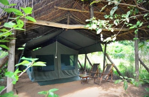 Kiberege Other | Udzungwa Forest Camp