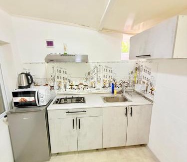 Chisinau Apartment | UltraCentral studio apartment