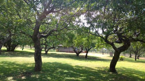 Pongola Ski Chalet | Umziki Chalets