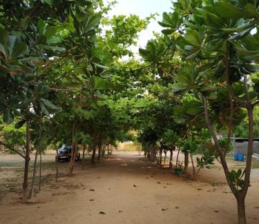 Uppuveli Hotel | Under Water Safaris and Resort