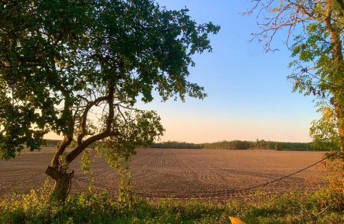 Hemse House | Underbart litet hus i lantligt läge