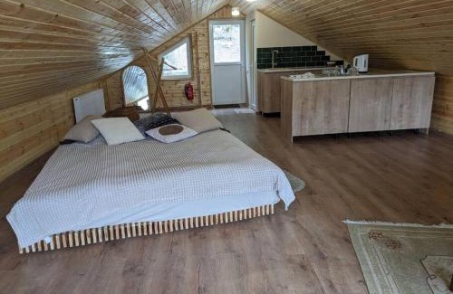 Borjomi Apartment | Unforgettable attic with balcony in Borjomi