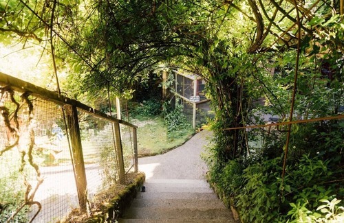 Doue-la-Fontaine House | Unforgettable Night in a Troglodyte Cave Home