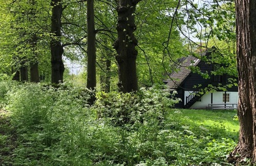 Loon op Zand Apartment | Unieke Studio Gelegen in de Kasteeltuin van Landgoed Het Witte Kasteel