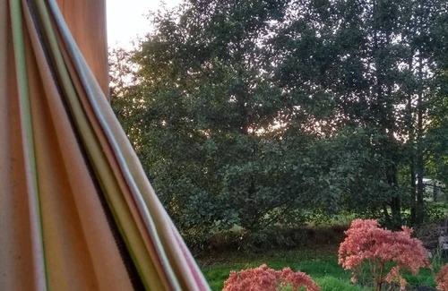 Waldmuenchen Apartment | Unique feel-good experience in the circus wagon