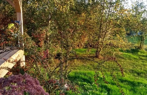 Waldmuenchen Apartment | Unique feel-good experience in the circus wagon