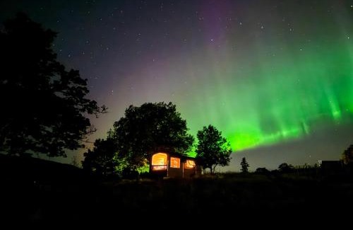 Notodden Villa | Unique stay with farm animals and stunning views Tiny House in Telemark