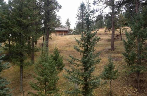 Evergreen House | Updated House with 💯% privacy, secluded 2acres & lots of outdoor living areas.