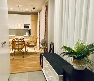 Seinajoki Apartment | Upseeritalo