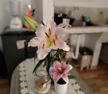 David Apartment | Urbano y Económico