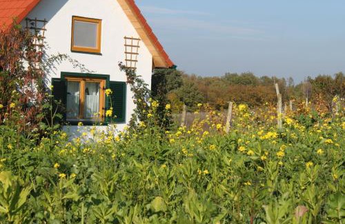 Hannersdorf House | Urlaub am Kinispa