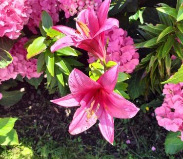 Wilkasy House | Uroczy domek wypoczynkowy