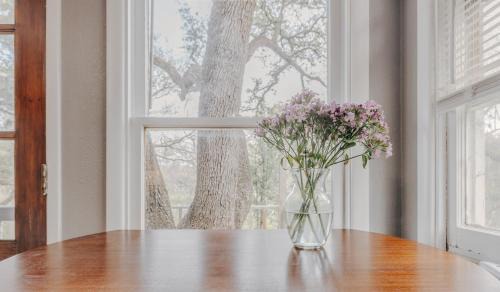 Austin House | UT Moody Twin Treehouse Stay