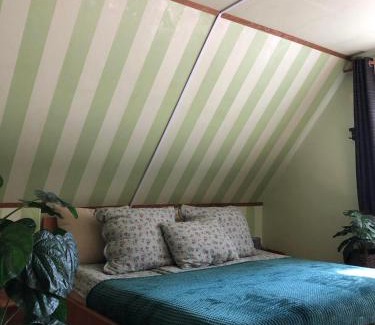 Szanazug Apartment | Váradi Vendégház