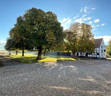Toreby Apartment | Værelse ved Nykøbing F.