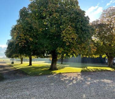 Toreby Apartment | Værelse ved Nykøbing F.