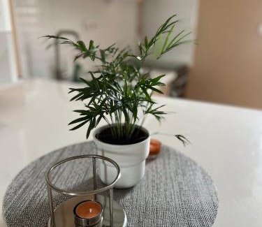 Kaposvar Apartment | Vörösmarty Deluxe Belváros