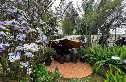 Kon Plong Resort | Vườn Trà HomeStay Măng Đen