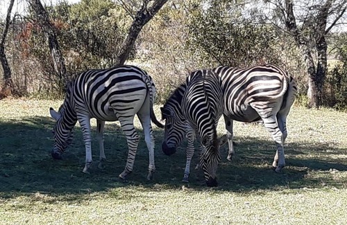 Parys House | Vaal River Lodge Haven