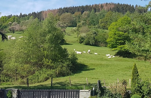 Balve Apartment | Vacation apartment Weitblick, 104sqm, 3 bedrooms, max. 5 persons