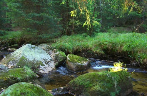 Schierke Apartment | Vacation apartment Wurmberg in sight