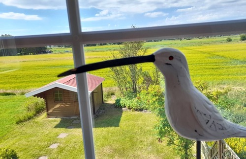 Stedesdorf House | Vacation home Robby - Holiday home Robby also available with dog