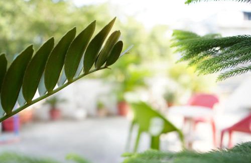 Panch Batti House | VacationBuddy Blissful Escape in Jaipur