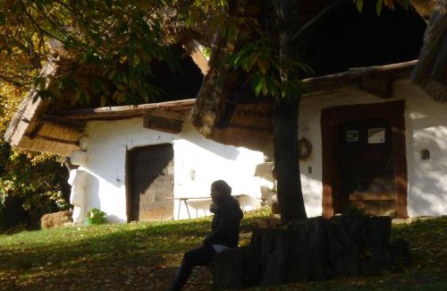 Cak Apartment | Vadszőlő Vendégház