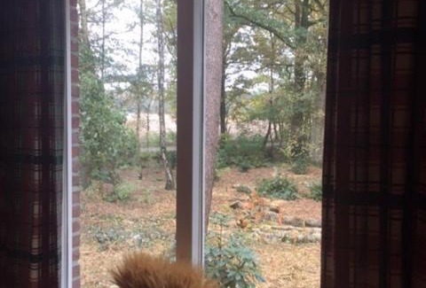 Zelhem House | Vakantiewoning met vrij uitzicht aan de rand van natuurgebied 't Zand.