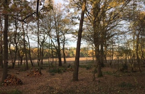 Zelhem House | Vakantiewoning met vrij uitzicht aan de rand van natuurgebied 't Zand.