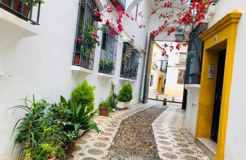 La Trinidad-San Juan y Todos los Santos Apartment | Vallaindiano